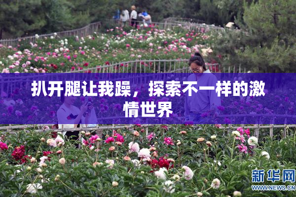 扒开腿让我躁，探索不一样的激情世界