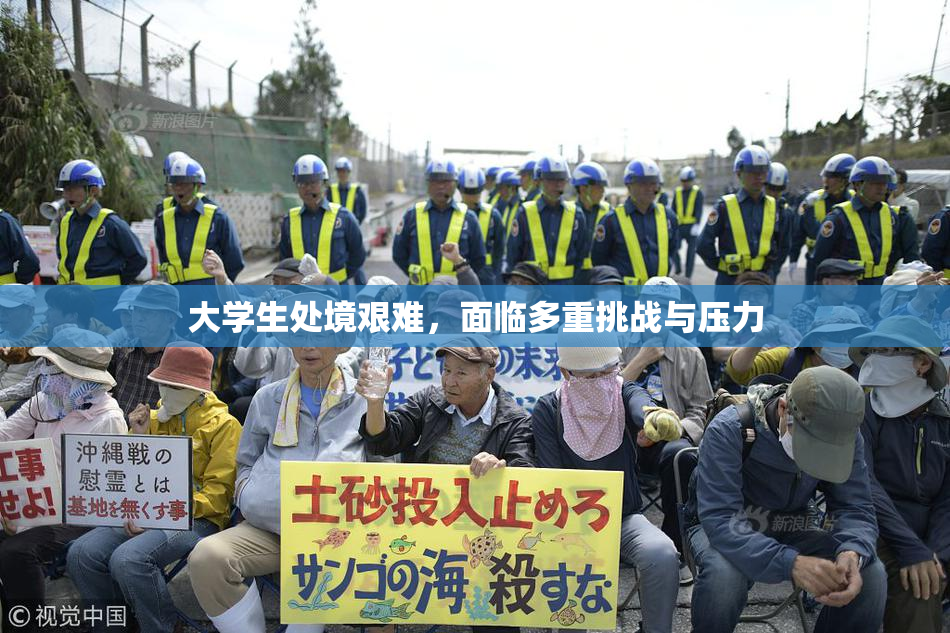 大学生处境艰难，面临多重挑战与压力