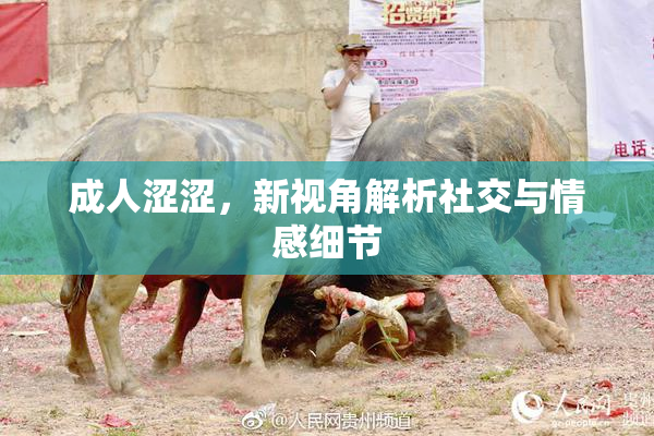 成人涩涩，新视角解析社交与情感细节