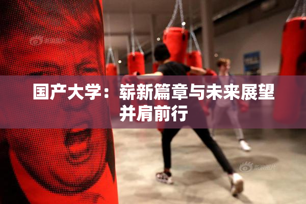 国产大学：崭新篇章与未来展望并肩前行