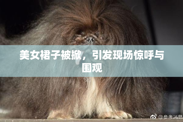 美女裙子被掀，引发现场惊呼与围观