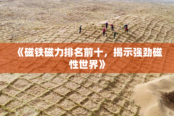 《磁铁磁力排名前十，揭示强劲磁性世界》
