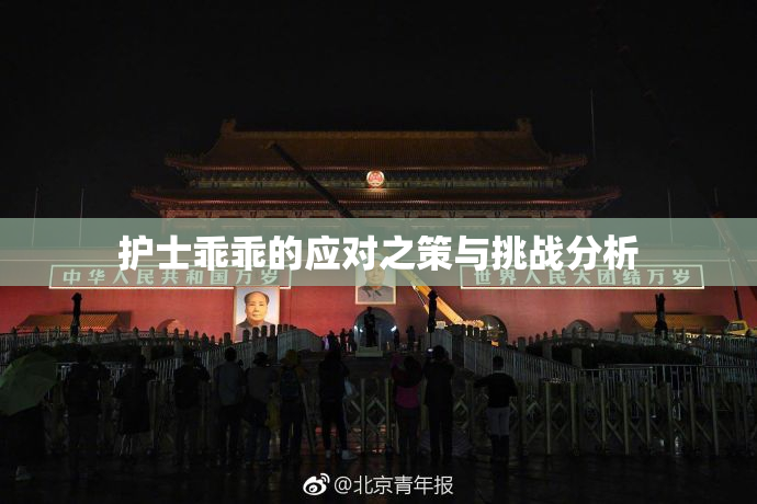 护士乖乖的应对之策与挑战分析
