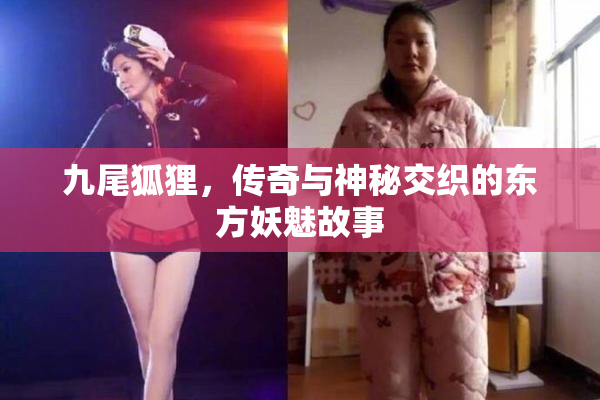 九尾狐狸，传奇与神秘交织的东方妖魅故事