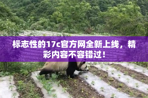 标志性的17c官方网全新上线，精彩内容不容错过！