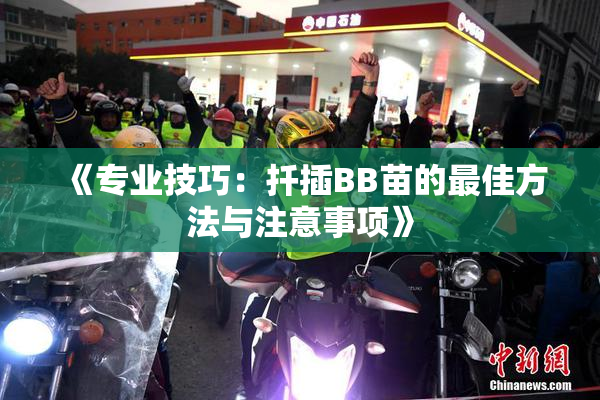 《专业技巧：扦插BB苗的最佳方法与注意事项》