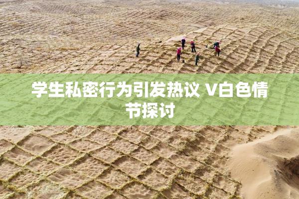 学生私密行为引发热议 V白色情节探讨