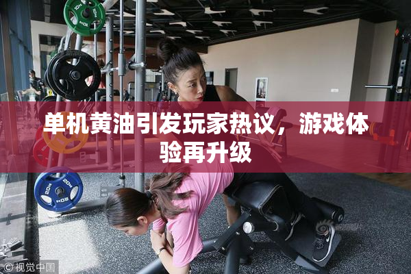 单机黄油引发玩家热议，游戏体验再升级