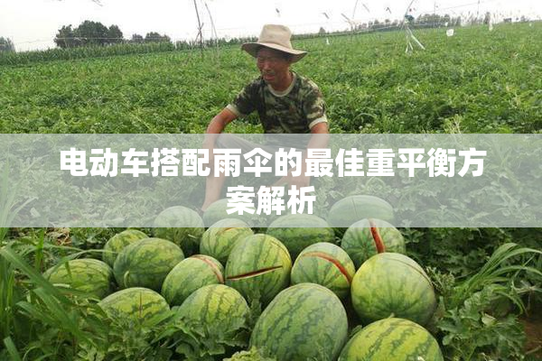 电动车搭配雨伞的最佳重平衡方案解析