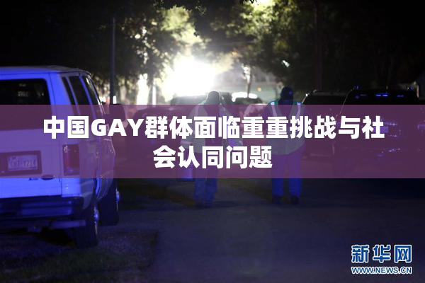 中国GAY群体面临重重挑战与社会认同问题