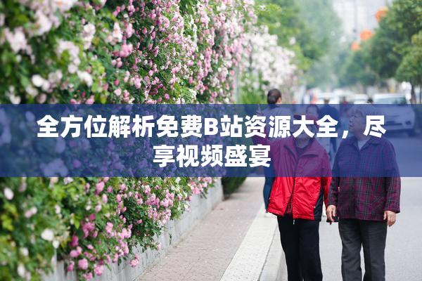 全方位解析免费B站资源大全，尽享视频盛宴