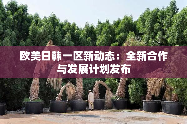 欧美日韩一区新动态：全新合作与发展计划发布