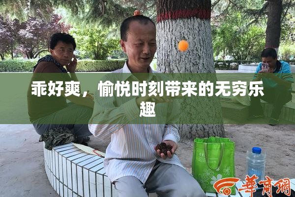 乖好爽，愉悦时刻带来的无穷乐趣