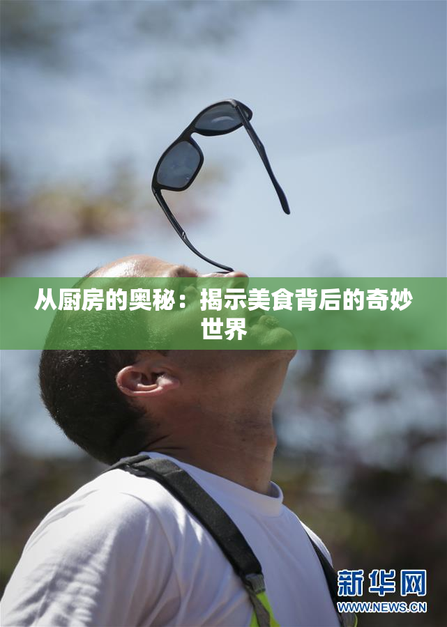从厨房的奥秘：揭示美食背后的奇妙世界