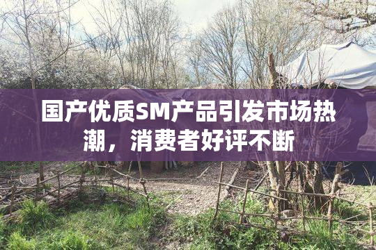 国产优质SM产品引发市场热潮，消费者好评不断