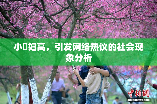 小婬妇高，引发网络热议的社会现象分析