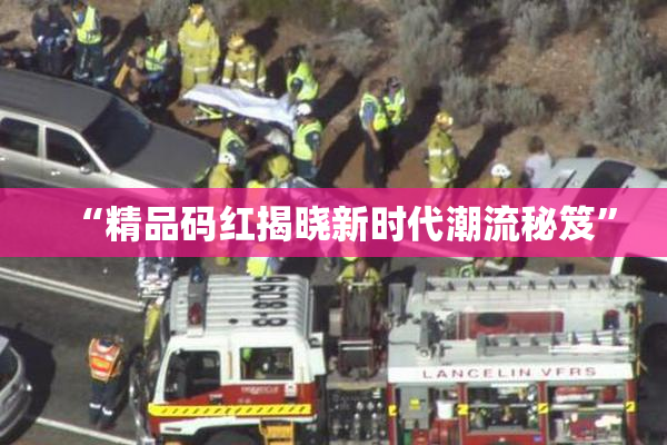 “精品码红揭晓新时代潮流秘笈”