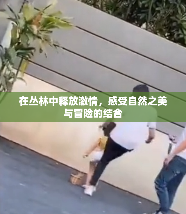 在丛林中释放激情，感受自然之美与冒险的结合