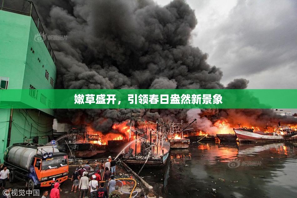 嫩草盛开，引领春日盎然新景象