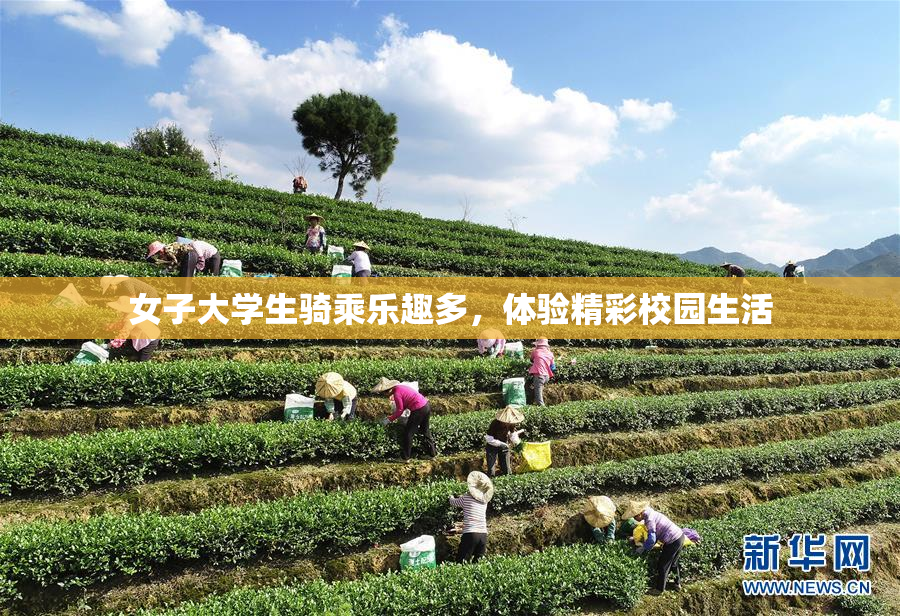 女子大学生骑乘乐趣多，体验精彩校园生活