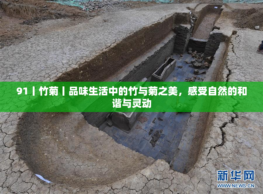 91丨竹菊丨品味生活中的竹与菊之美，感受自然的和谐与灵动