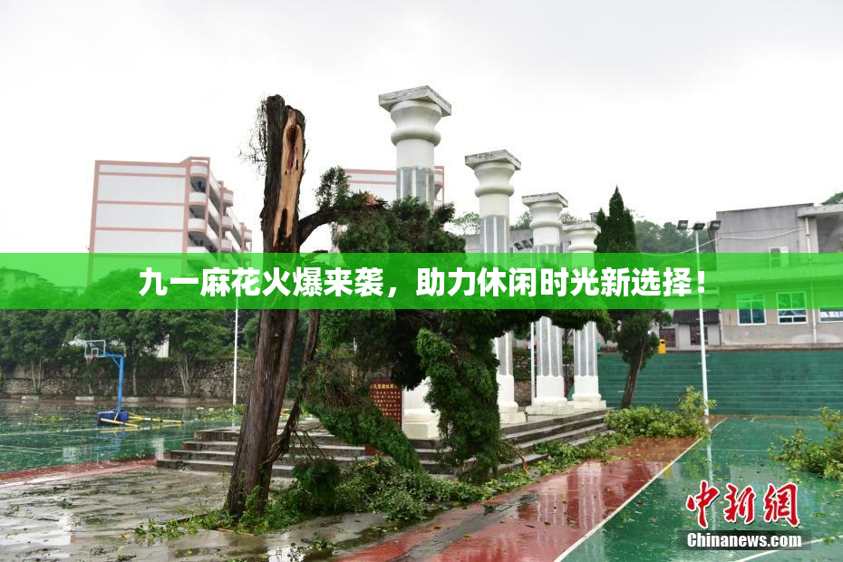 九一麻花火爆来袭，助力休闲时光新选择！