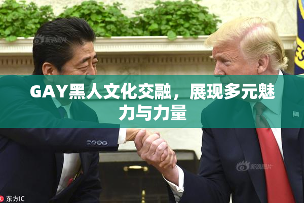 GAY黑人文化交融，展现多元魅力与力量