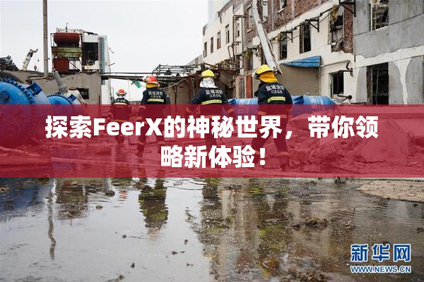 探索FeerX的神秘世界，带你领略新体验！