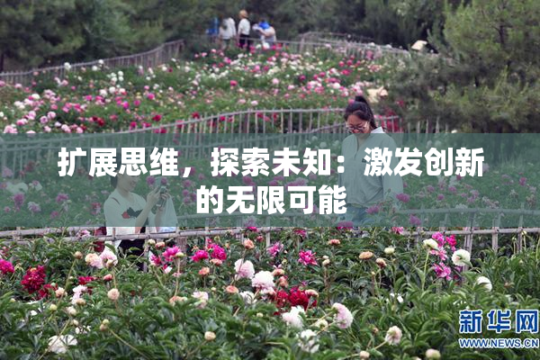 扩展思维，探索未知：激发创新的无限可能