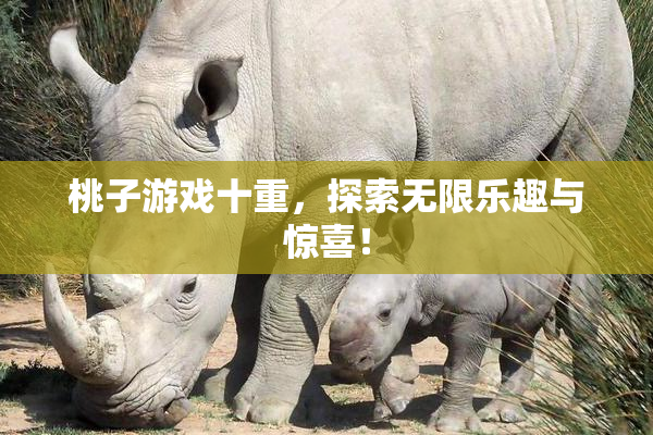 桃子游戏十重，探索无限乐趣与惊喜！