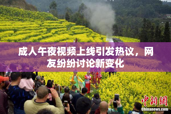 成人午夜视频上线引发热议，网友纷纷讨论新变化