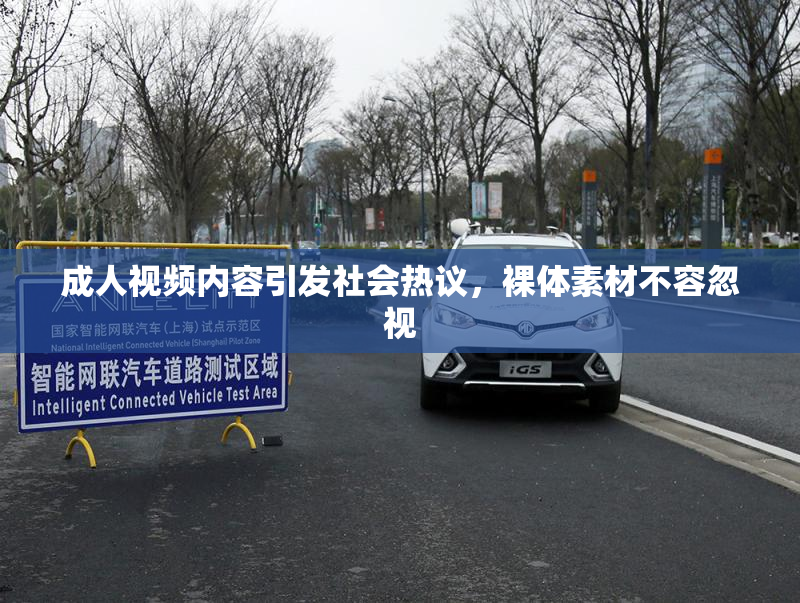 成人视频内容引发社会热议，裸体素材不容忽视