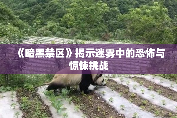 《暗黑禁区》揭示迷雾中的恐怖与惊悚挑战