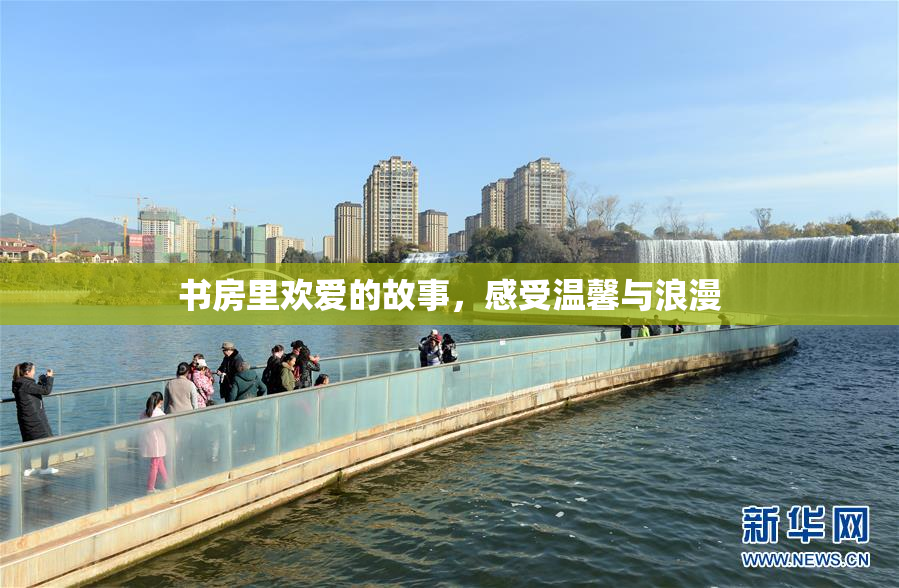 书房里欢爱的故事，感受温馨与浪漫