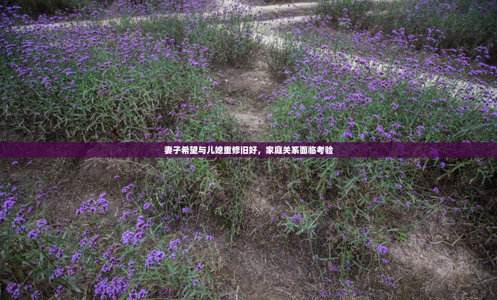 妻子希望与儿媳重修旧好，家庭关系面临考验