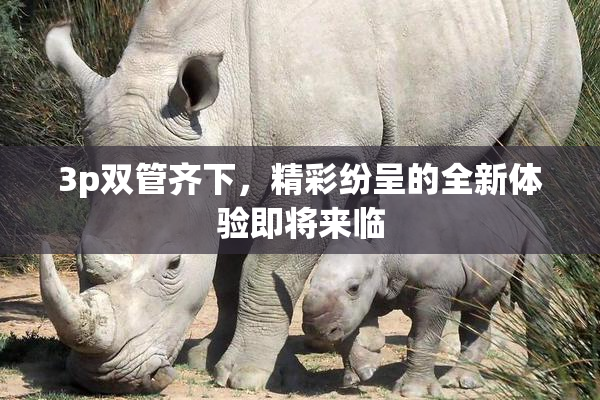 3p双管齐下，精彩纷呈的全新体验即将来临