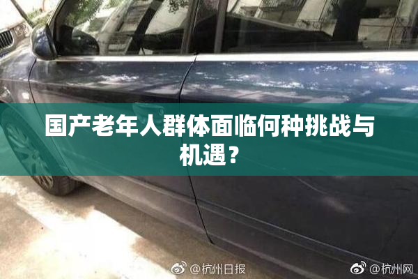 国产老年人群体面临何种挑战与机遇？