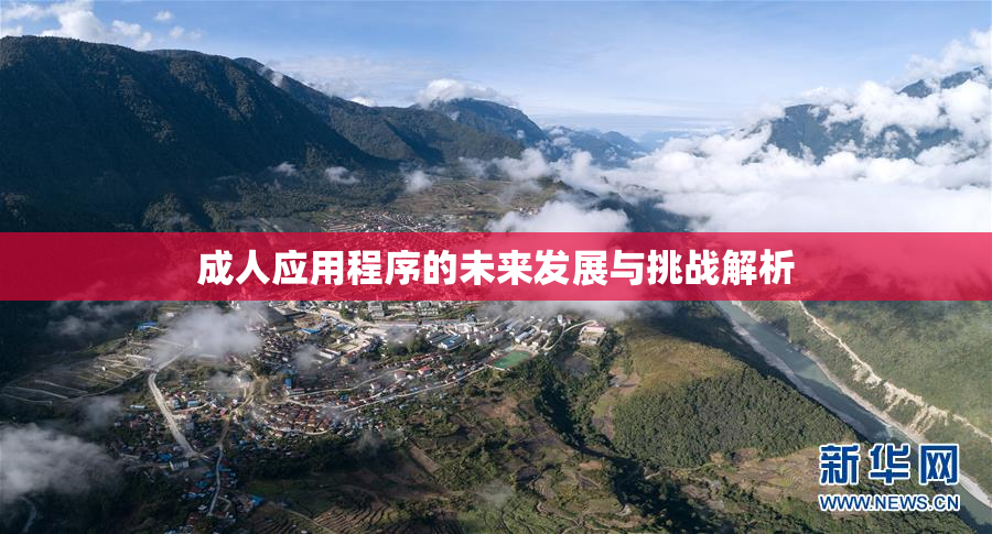 成人应用程序的未来发展与挑战解析