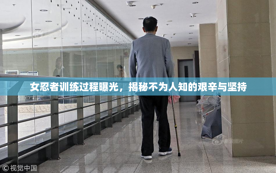 女忍者训练过程曝光，揭秘不为人知的艰辛与坚持