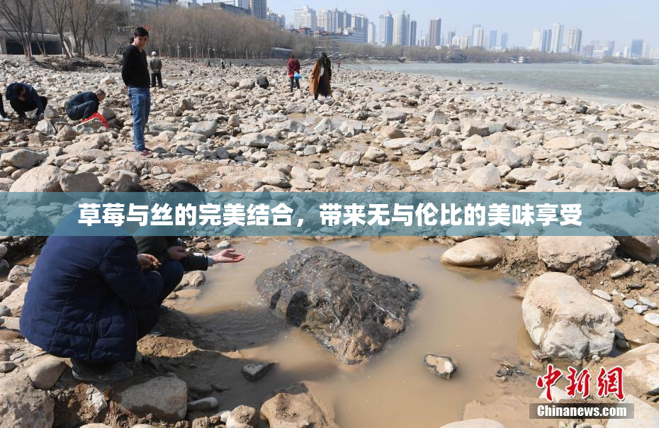 草莓与丝的完美结合，带来无与伦比的美味享受