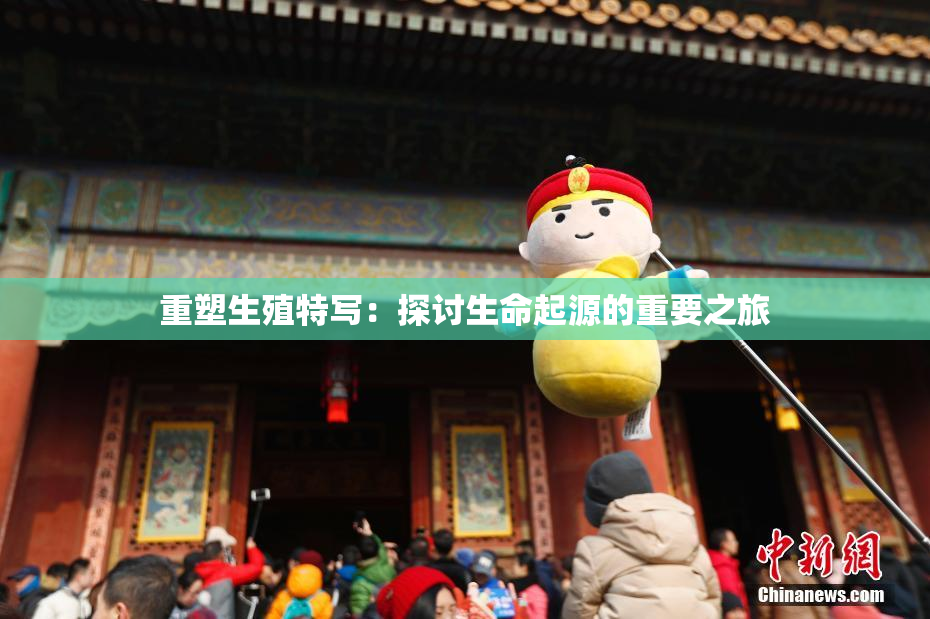 重塑生殖特写：探讨生命起源的重要之旅