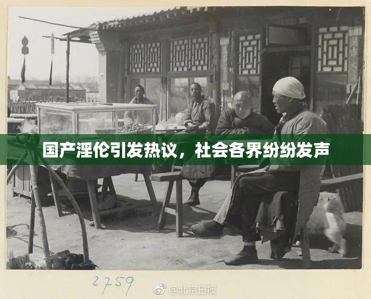 国产淫伦引发热议，社会各界纷纷发声