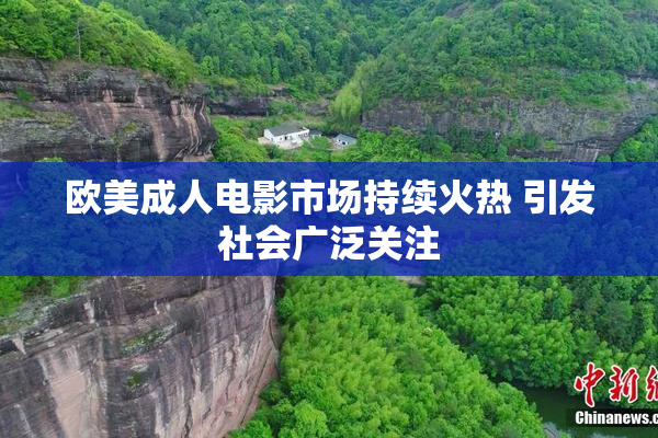 欧美成人电影市场持续火热 引发社会广泛关注