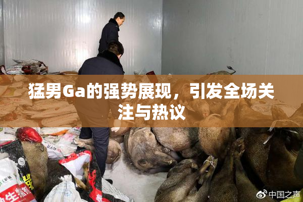 猛男Ga的强势展现，引发全场关注与热议