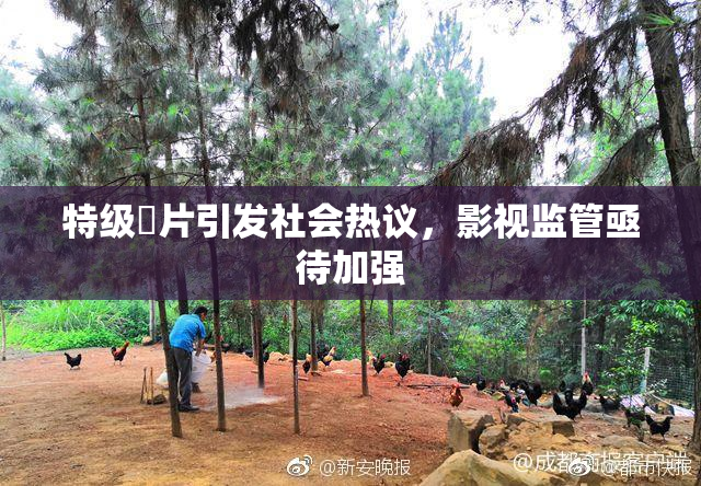 特级婬片引发社会热议，影视监管亟待加强