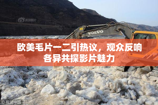 欧美毛片一二引热议，观众反响各异共探影片魅力