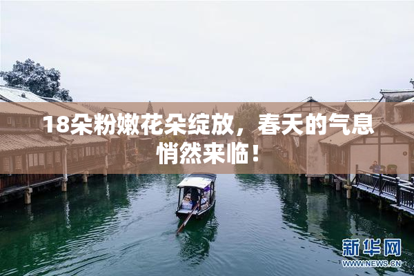 18朵粉嫩花朵绽放，春天的气息悄然来临！