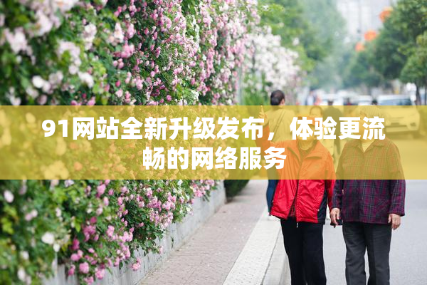 91网站全新升级发布，体验更流畅的网络服务