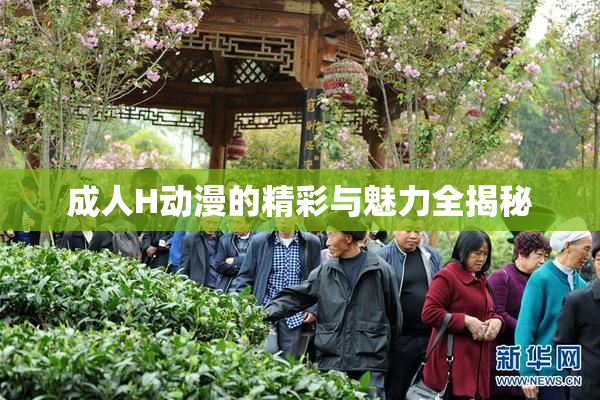 成人H动漫的精彩与魅力全揭秘