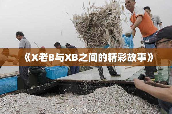 《X老B与XB之间的精彩故事》